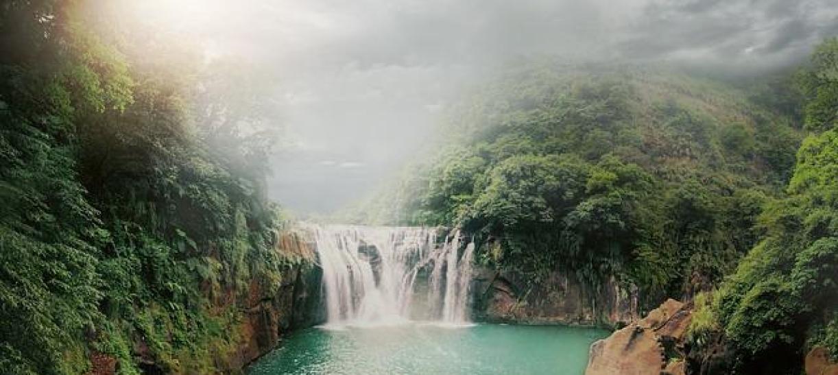 Caracteristicas De Los Bosques Tropicales En Colombia www.canalinstitucional.tv